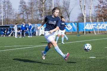 Bild 138 - F Hamburger SV 3 - Blau-Weiss 96 : Ergebnis: 5:1